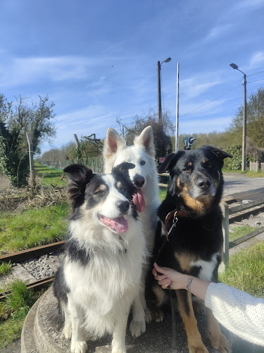 Uni-vers Canin