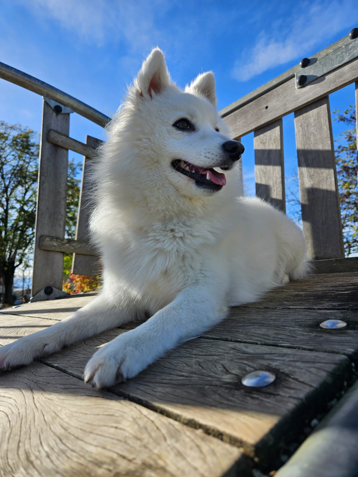 Uni-vers Canin — photo