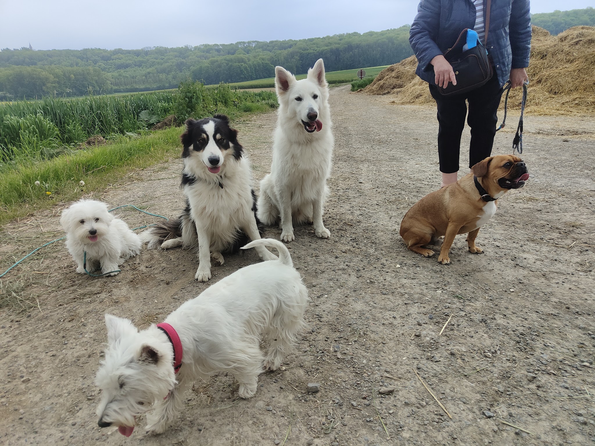 Uni-vers Canin — photo