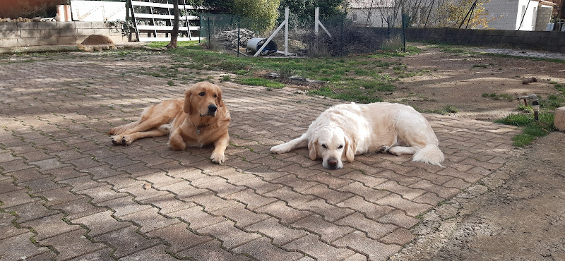 Gaschot Pension Familiale