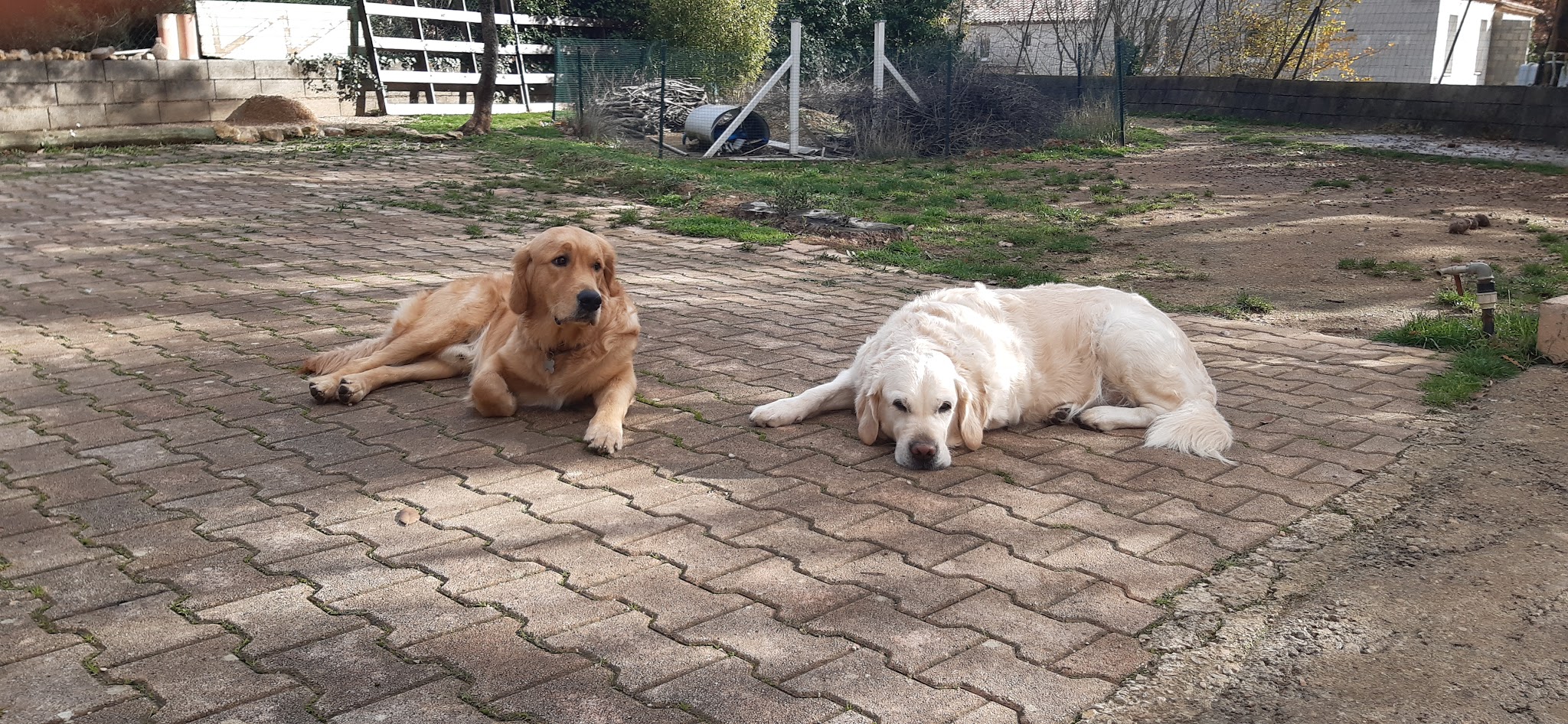 Gaschot Pension Familiale — photo