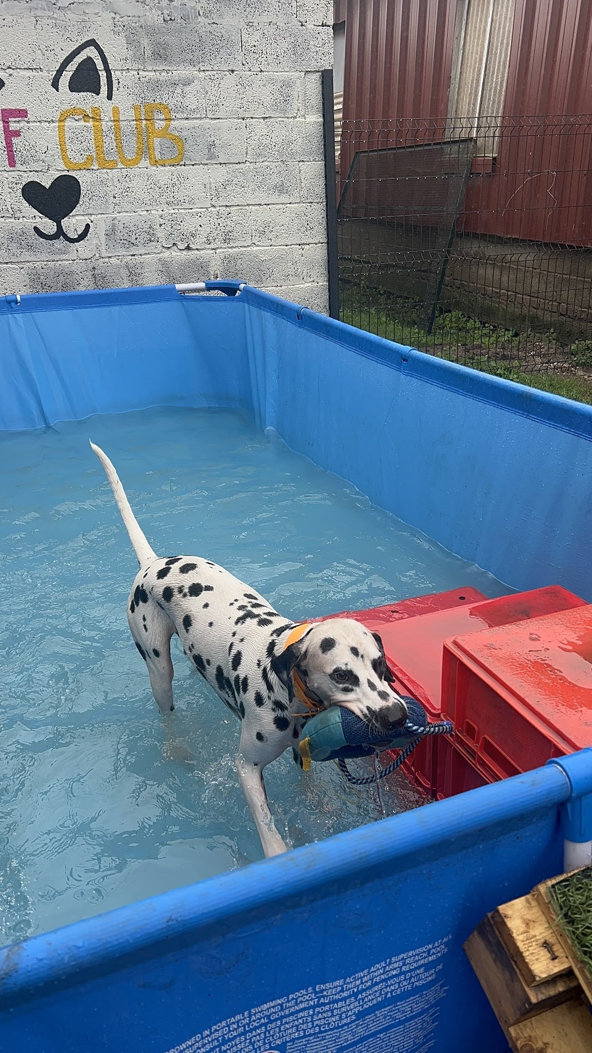 WOOF CLUB garderie — photo
