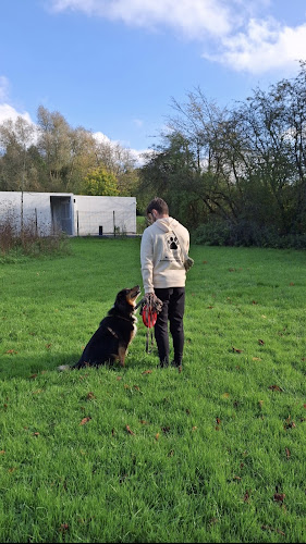 LRpetsitting