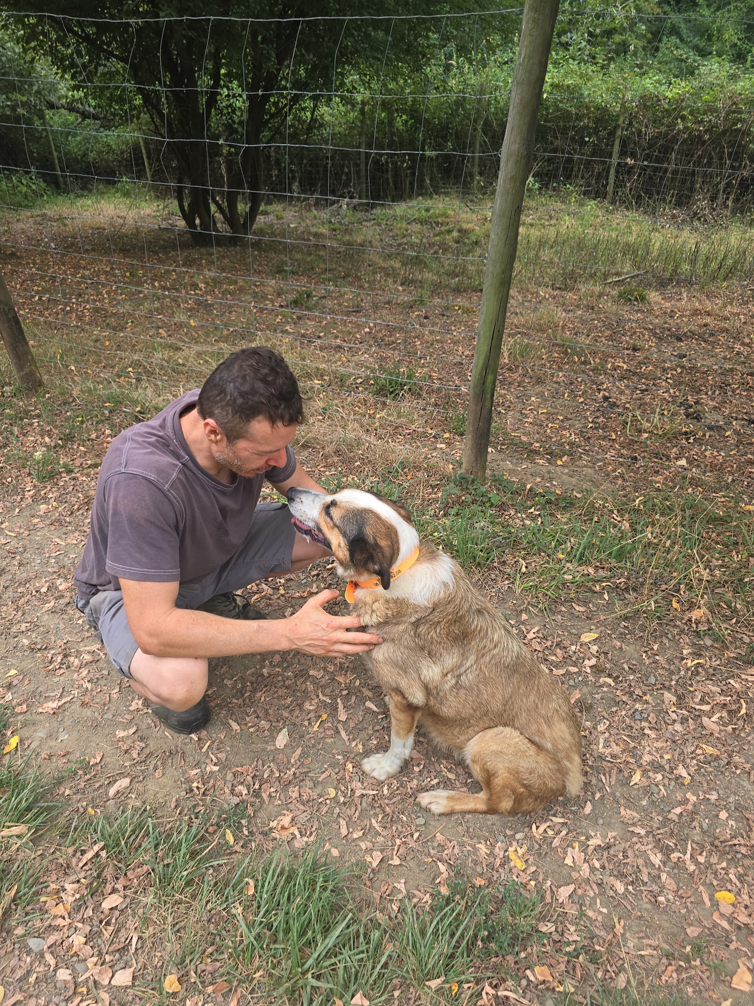 Pension canine Anima'room _ Pension pour chien - garde chien - Pension familiale — photo
