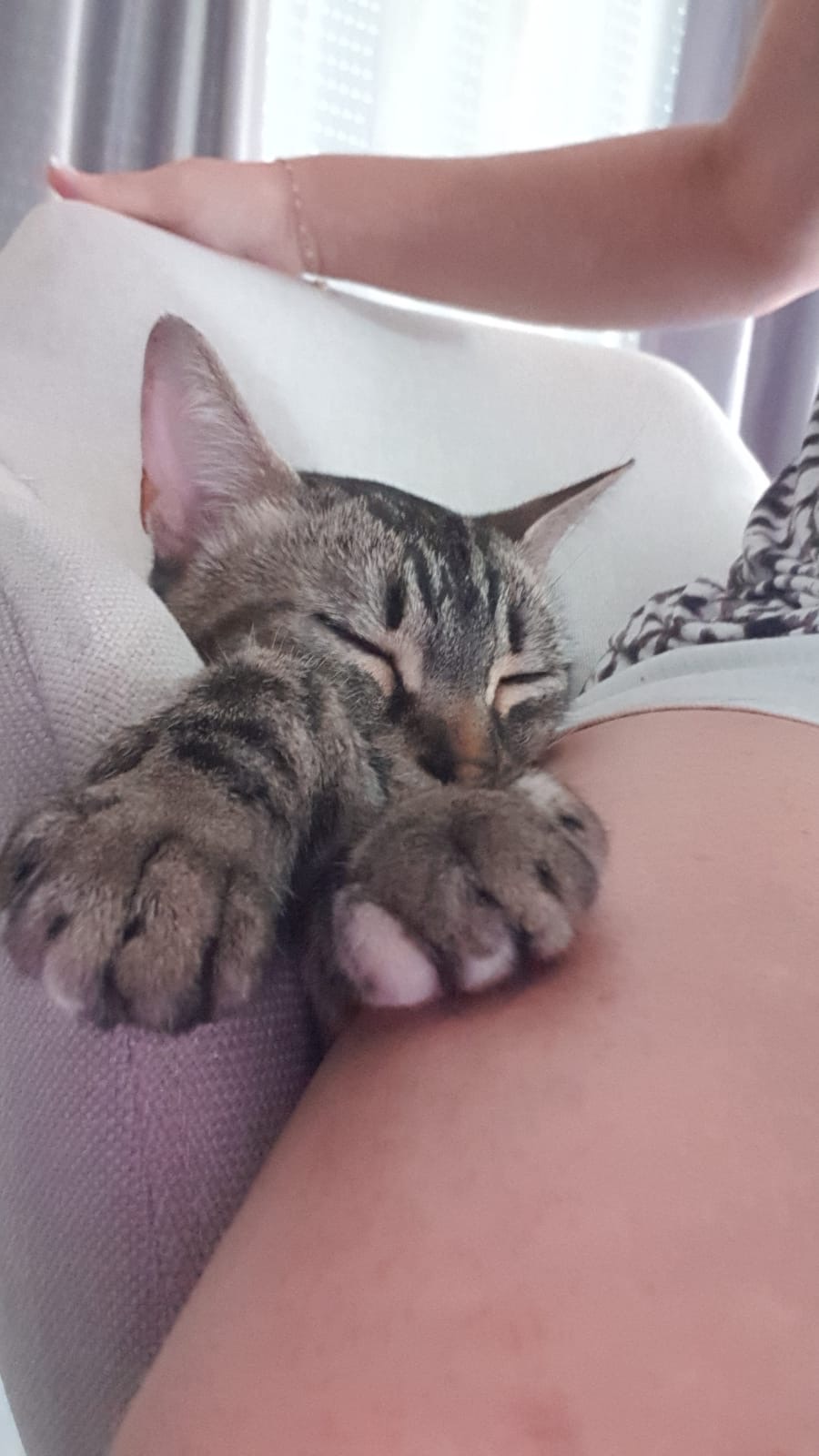 AnimaLove — photo
