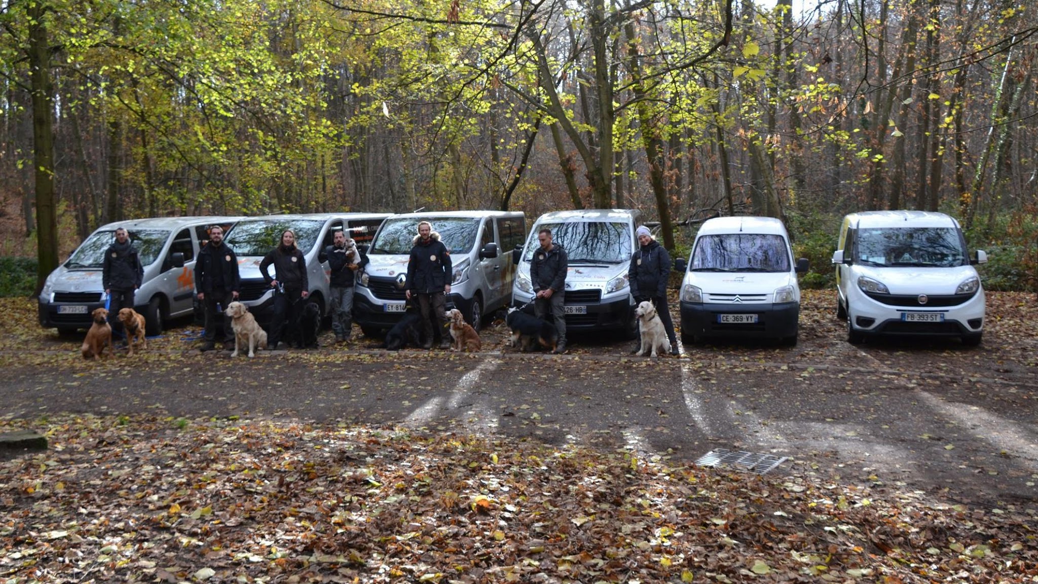 Doggies et Compagnie