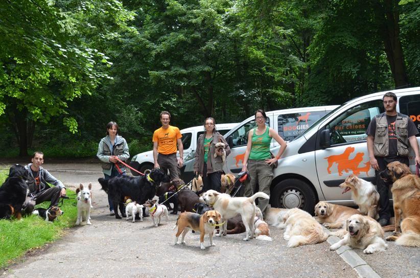 Doggies et Compagnie — photo
