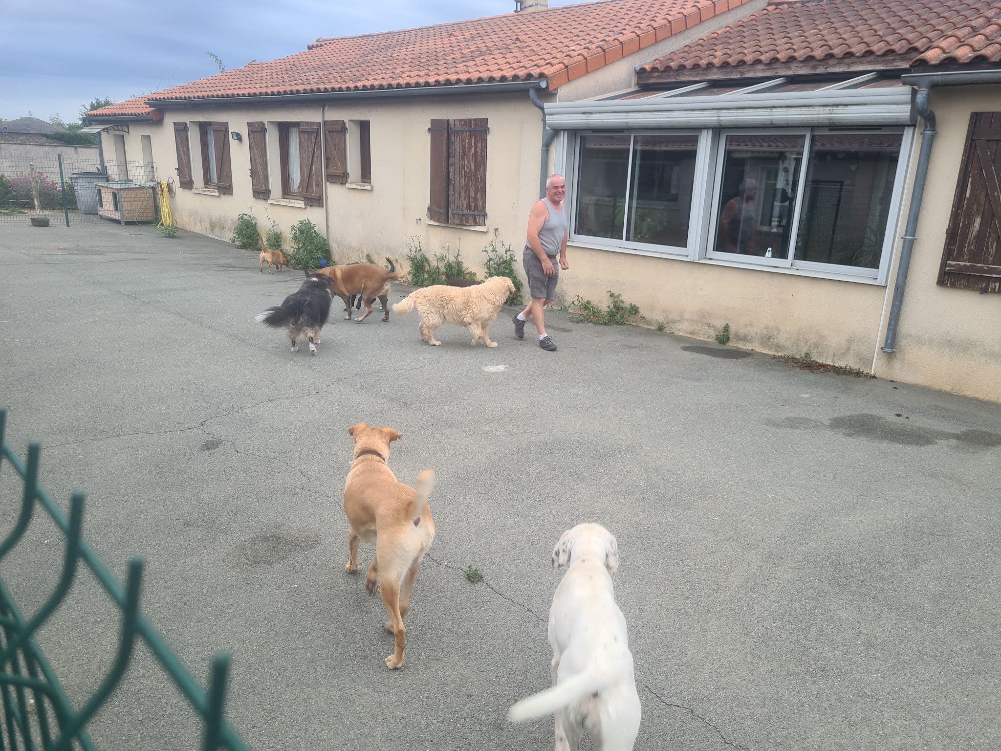 Beauty Pets — photo