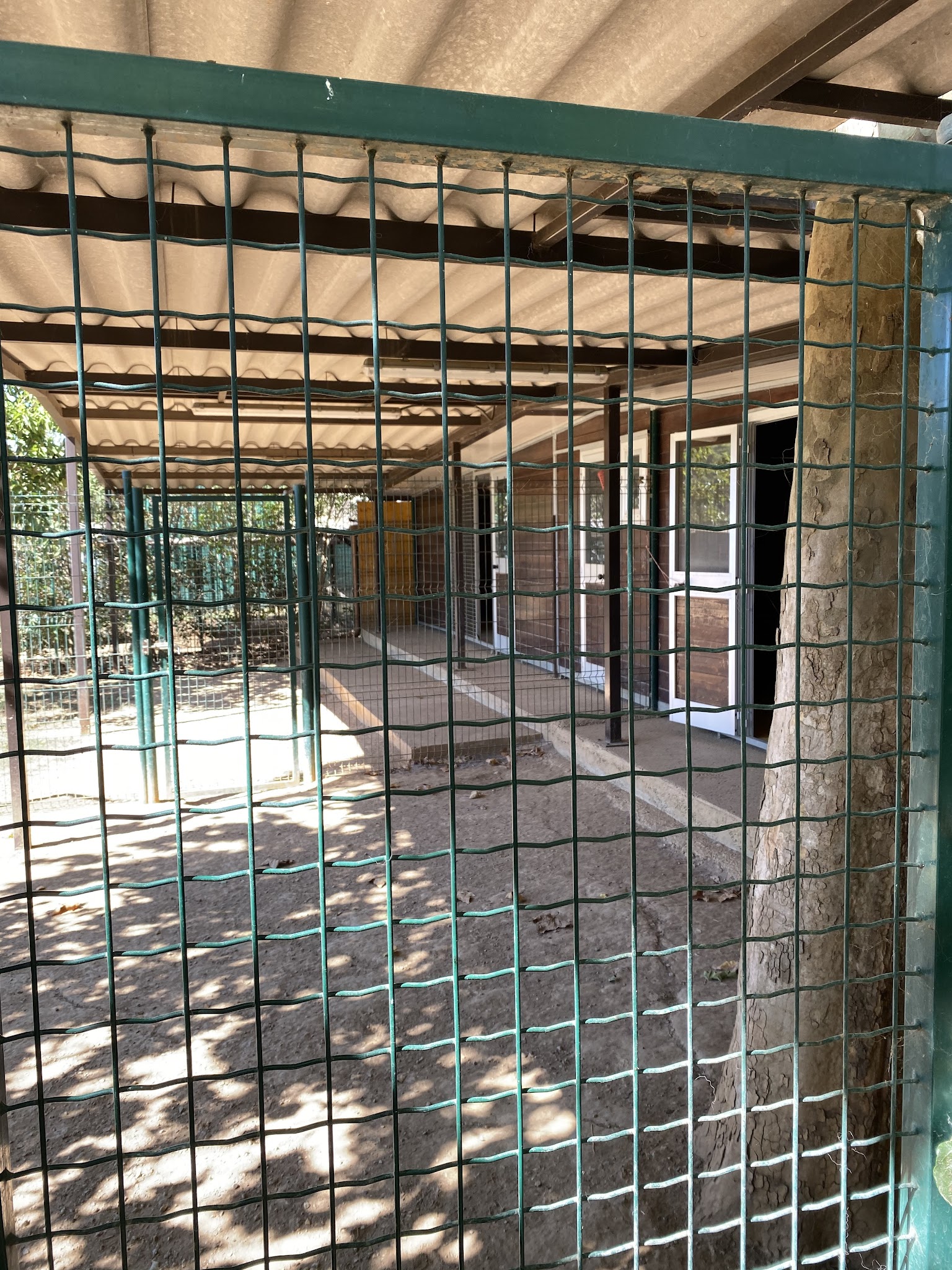 Pension Canine De La Loube — photo