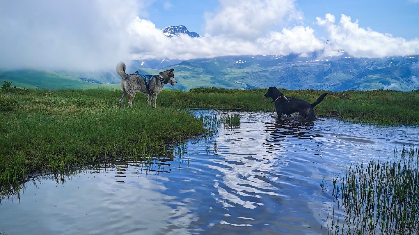 Mon Pti Loup — photo