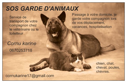 sos garde d'animaux