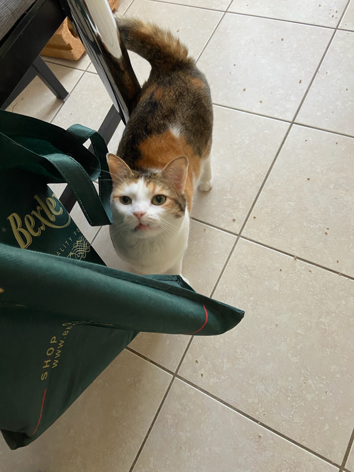 Sam’ Animaux
