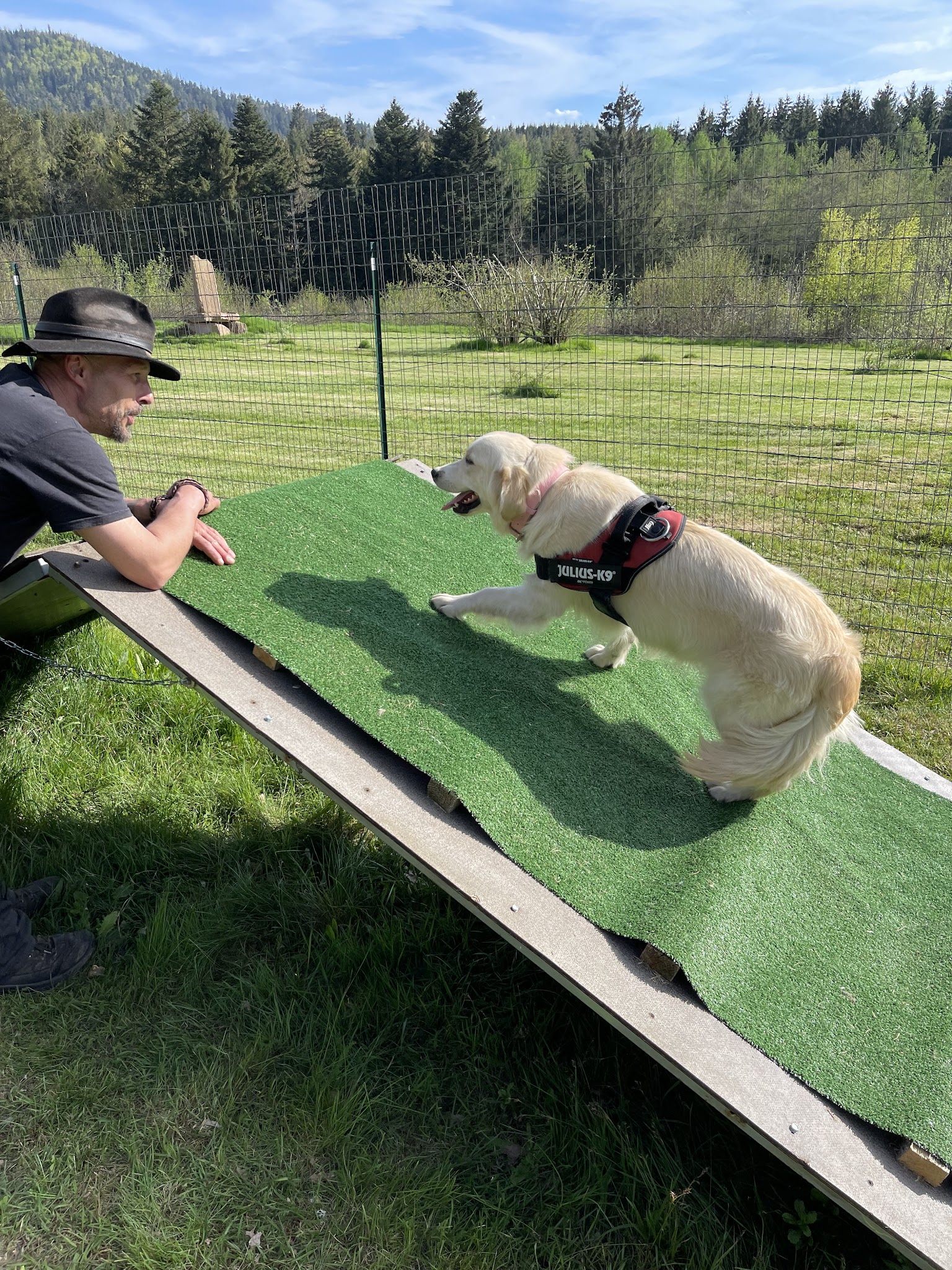 Canis intervention — photo