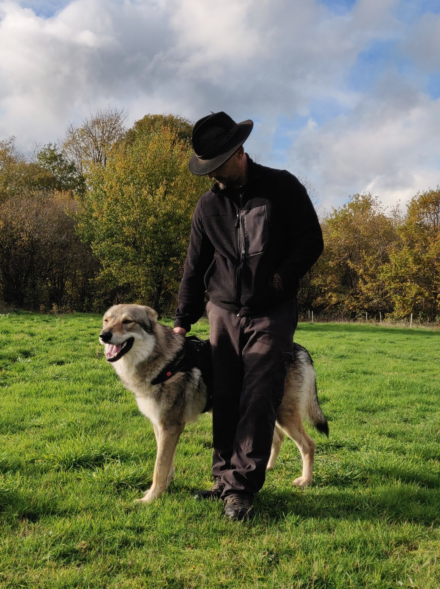 Canis intervention — photo