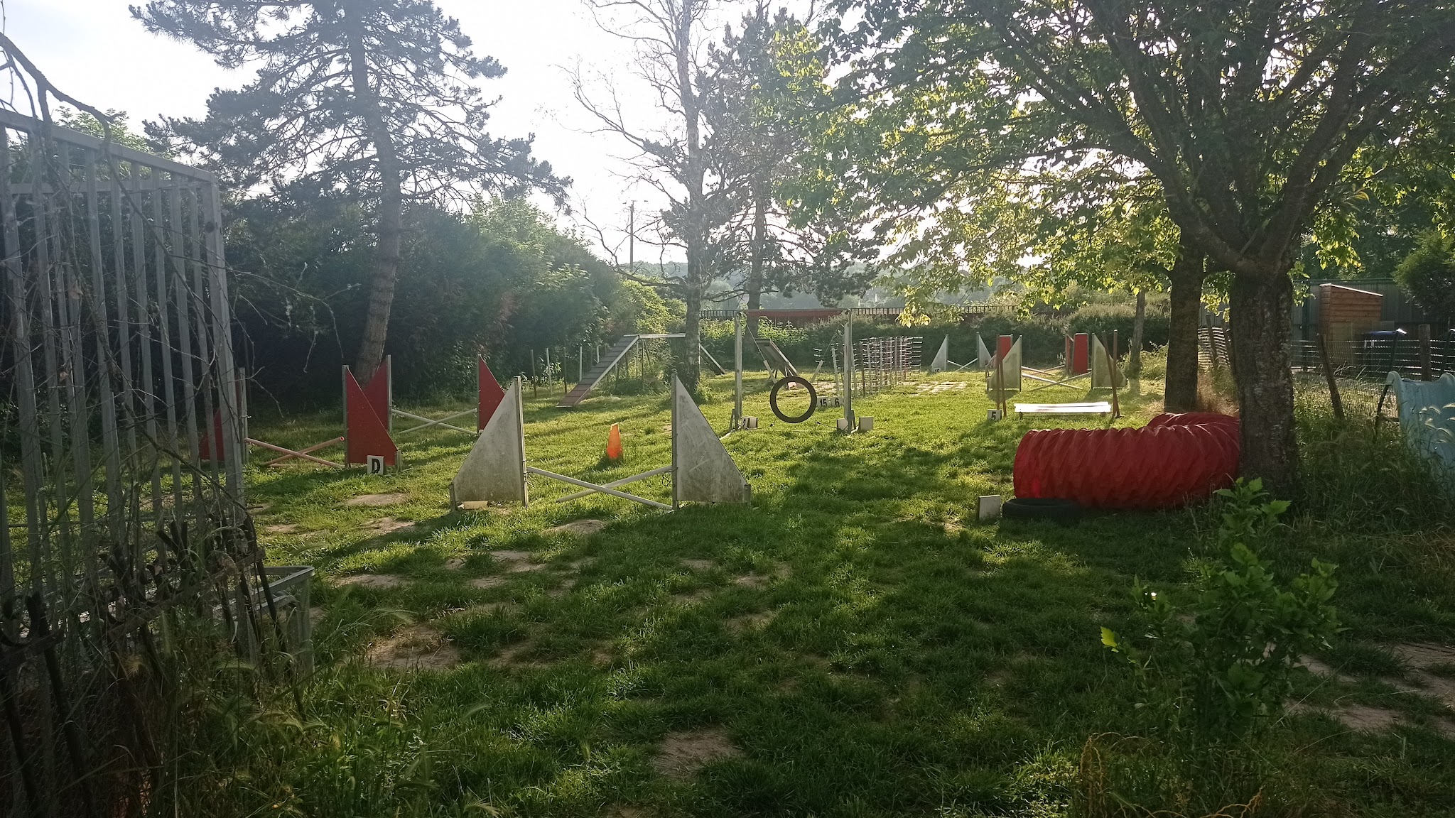 Agility - comportementaliste - éducation canine