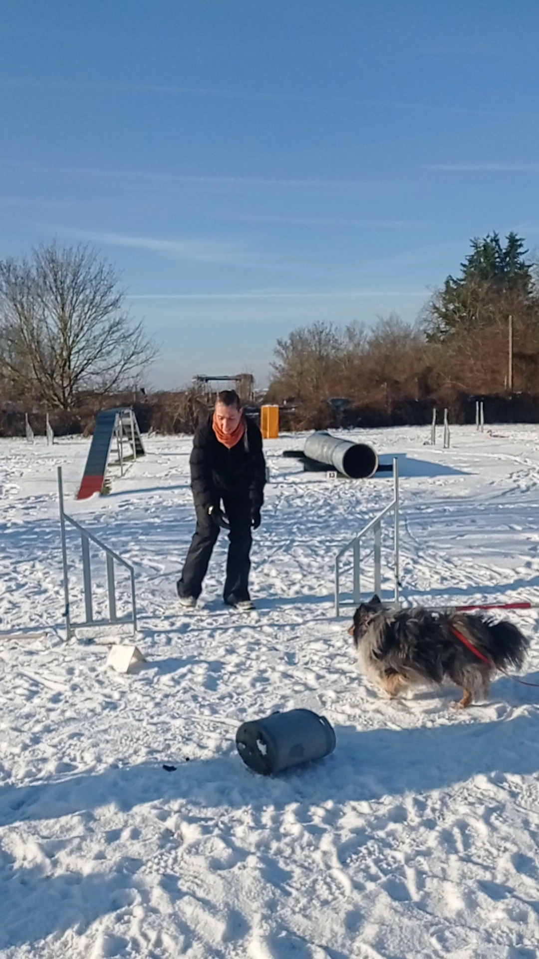 Agility - comportementaliste - éducation canine — photo
