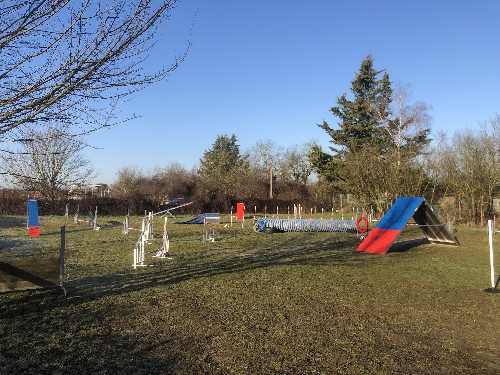 Agility - comportementaliste - éducation canine — photo