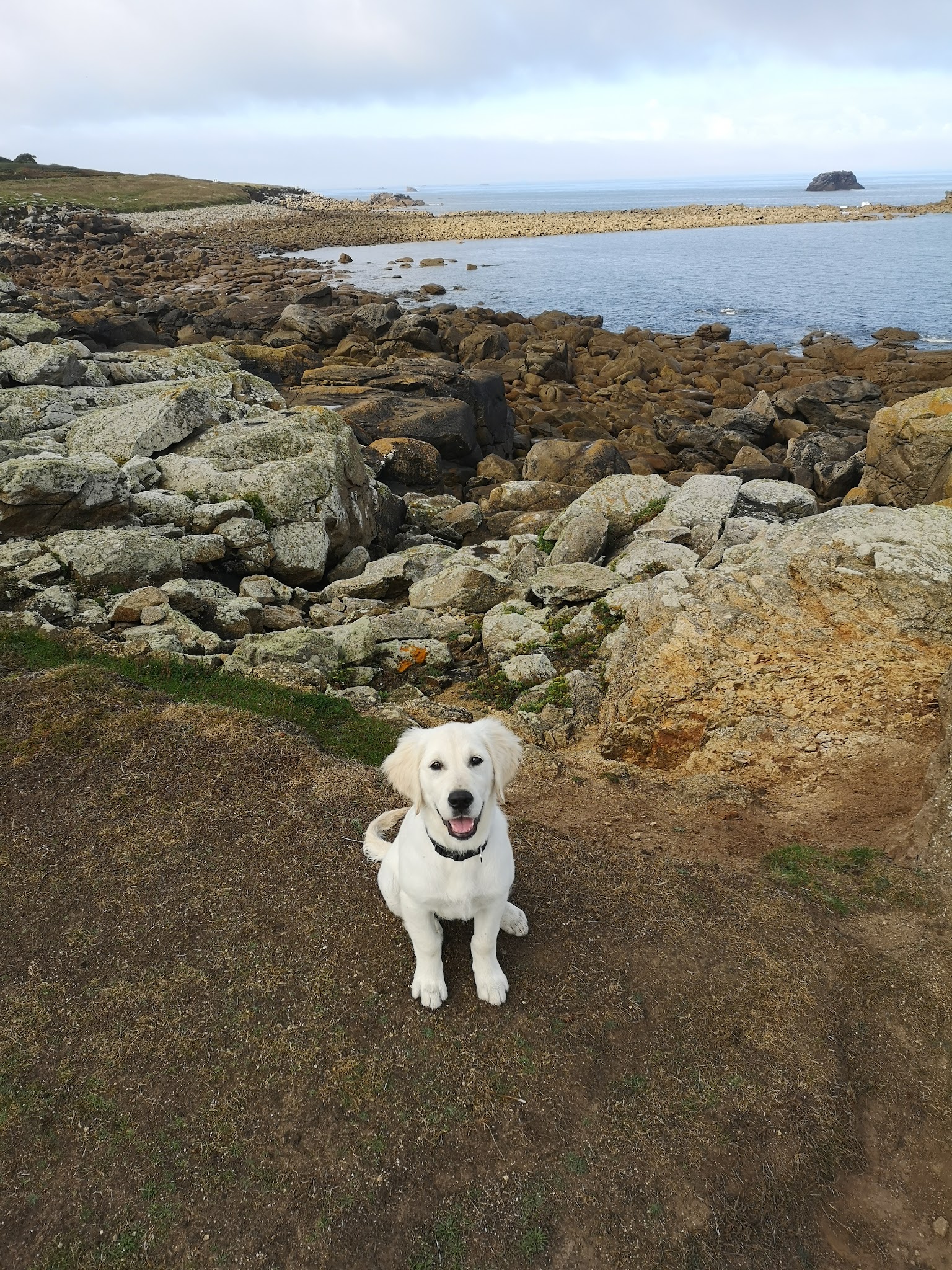 Centre Canin Felin canin Jardin Sauvage (Elevage Jardin Sauvage) — photo
