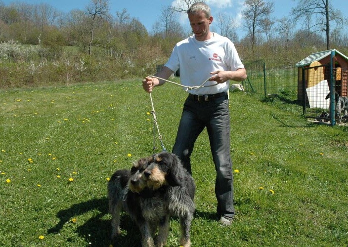 Pension canine du Bugey "Les Chiens Heureux" – Jacquet Lionel — photo