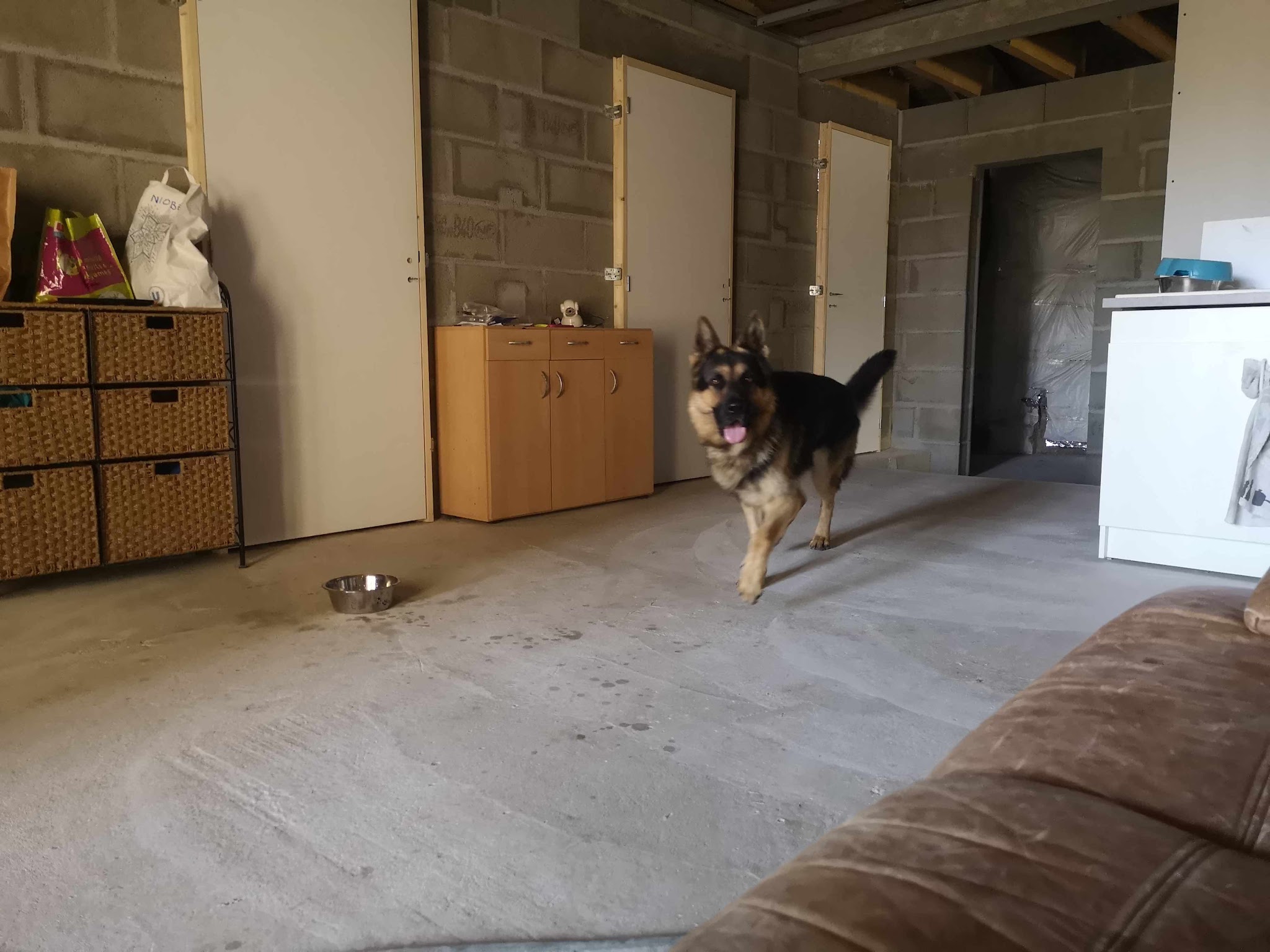 Pension Canine Familiale "Dog's Univers" — photo