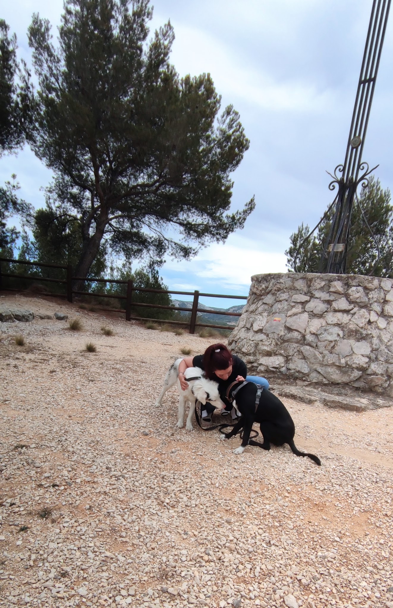 LUCKY DOG — photo