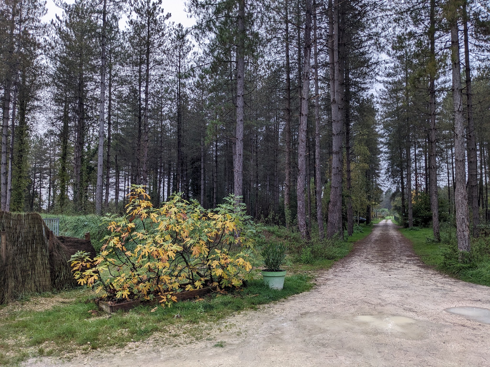 Le Domaine de Gazzo Padovano — photo
