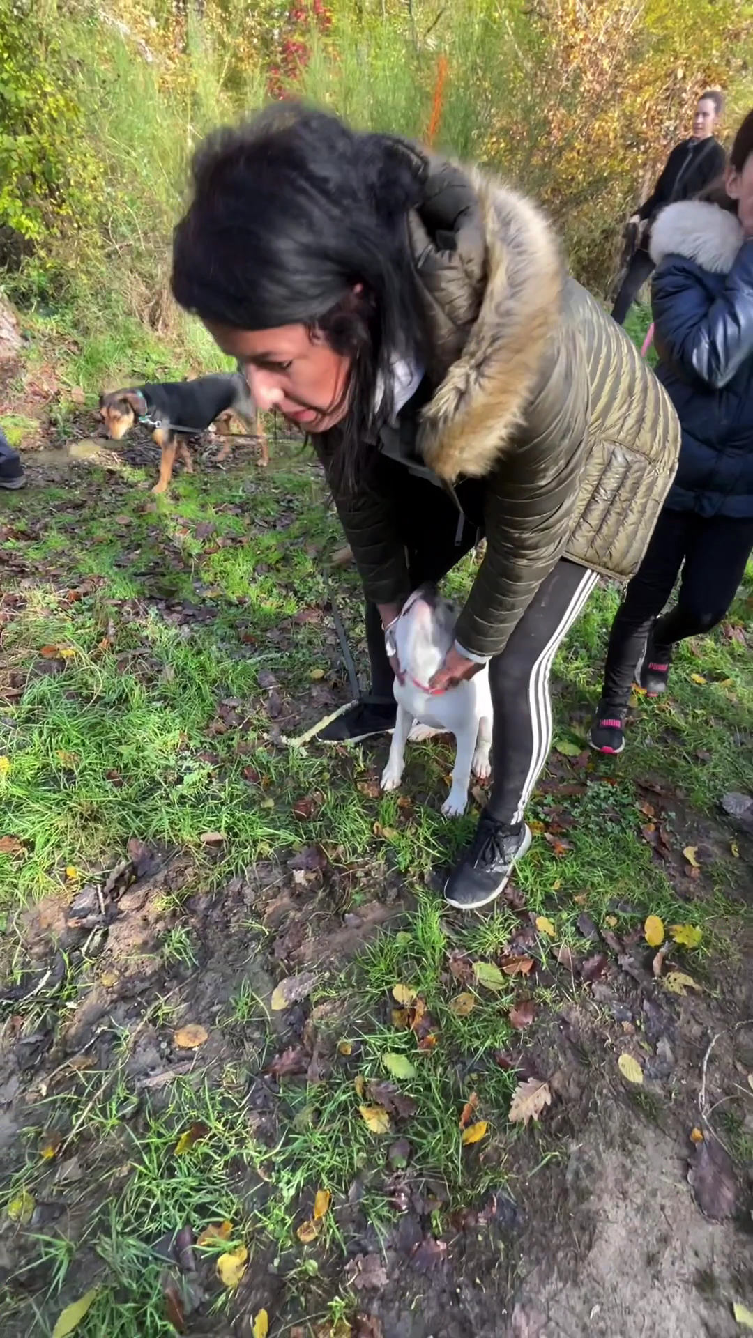 Maître Doggy - Educateur canin - Comportementaliste canin - Dresseur pour chien à domicile dans le 82 — photo