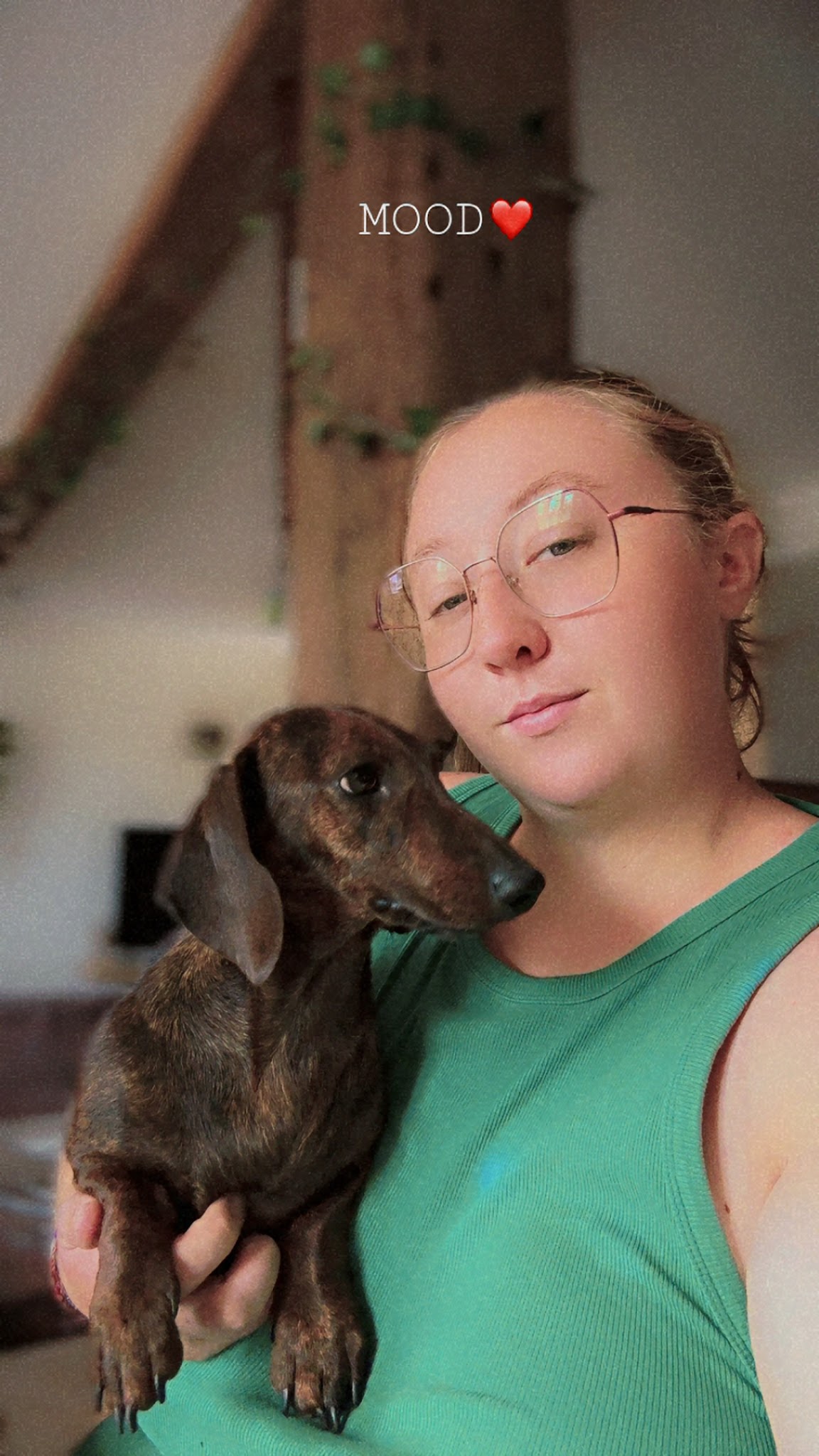 Lé‘animaux — photo