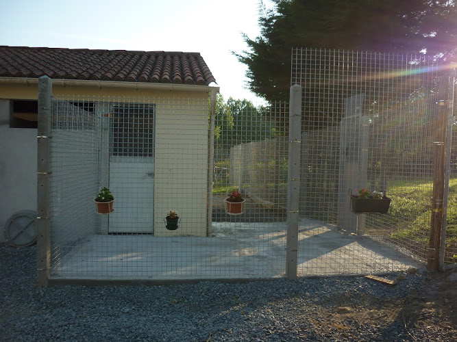 Pension canine et féline des Moulins