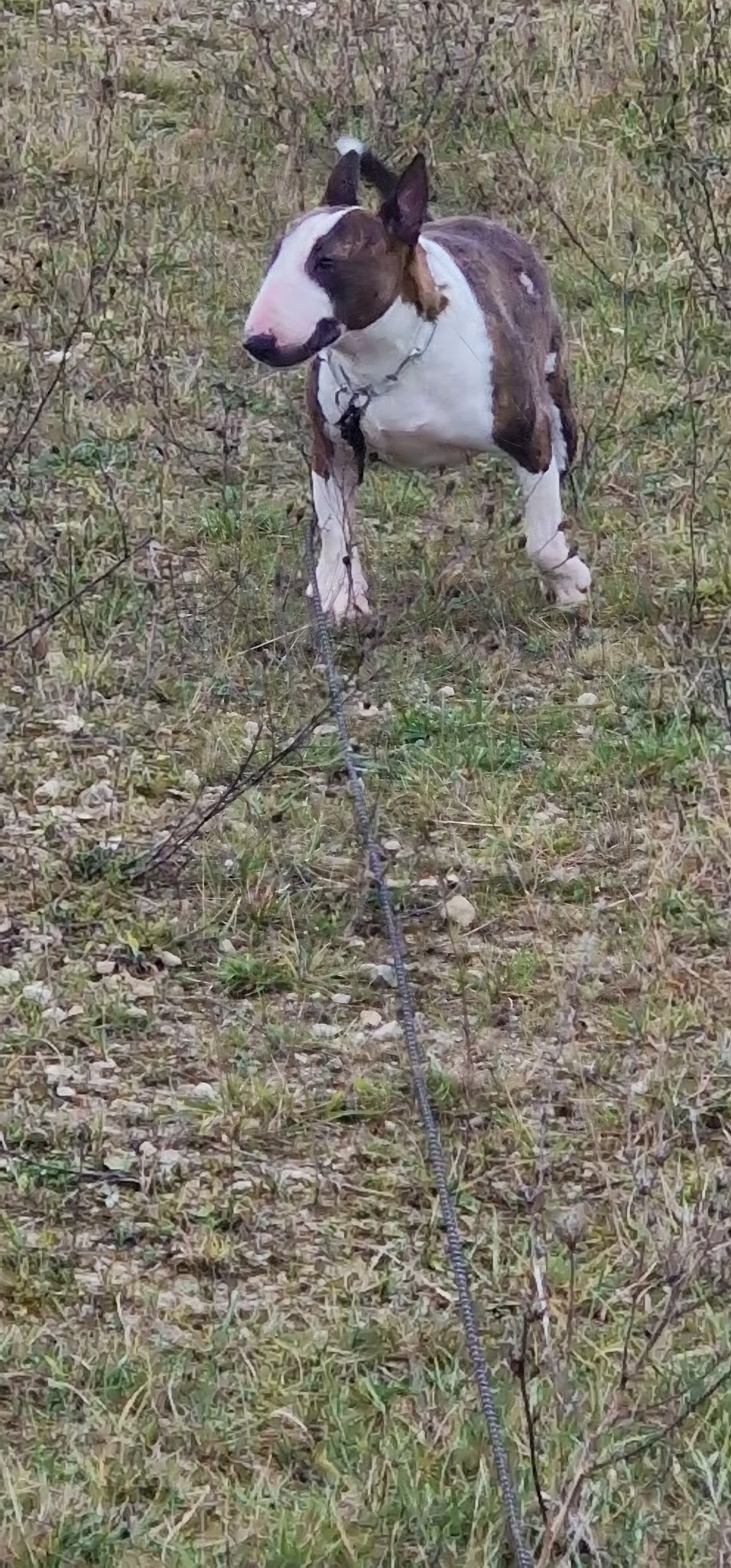 Domaine de Lookan — photo