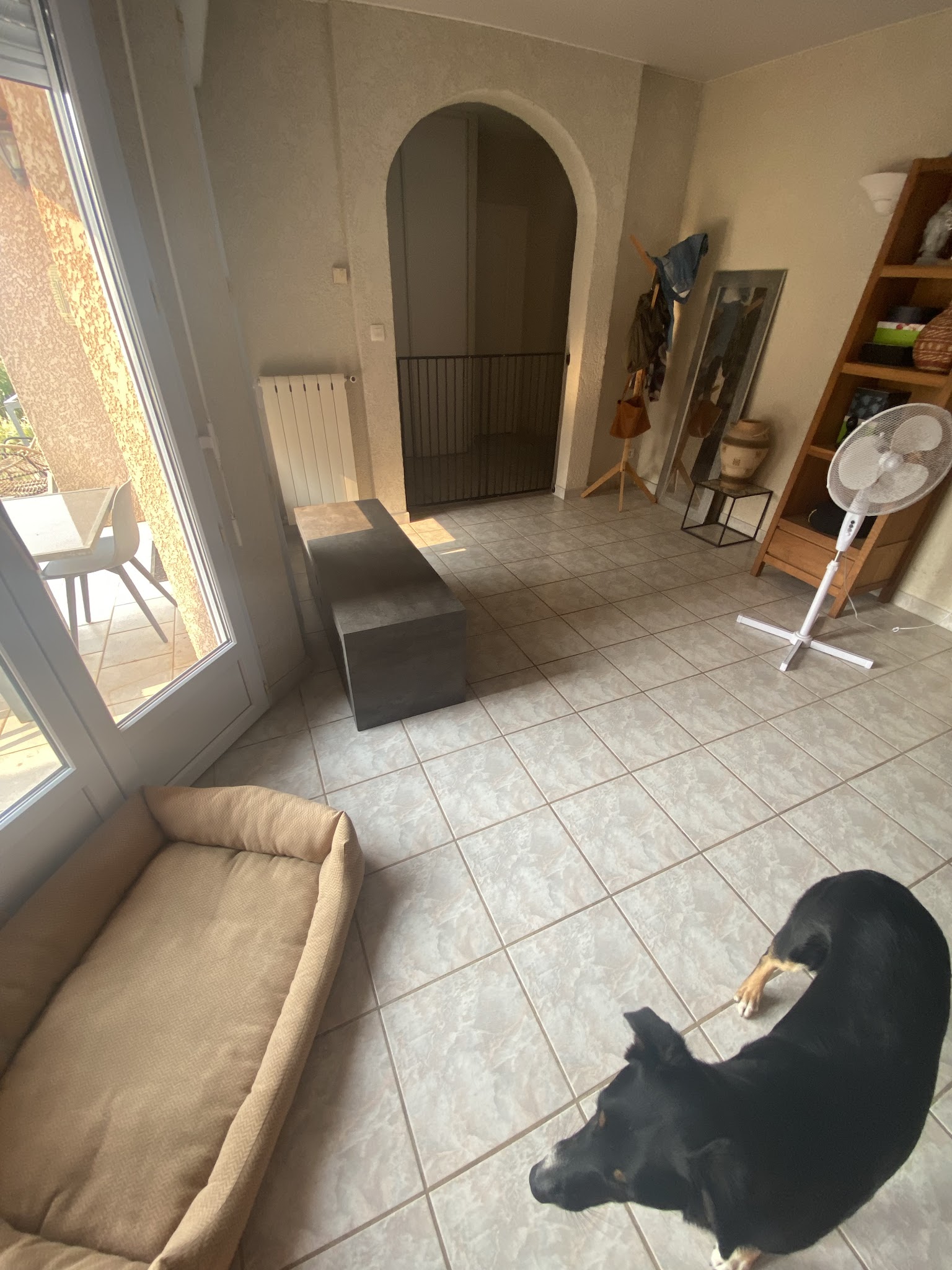 Aime ton chien (pension et éducation) — photo