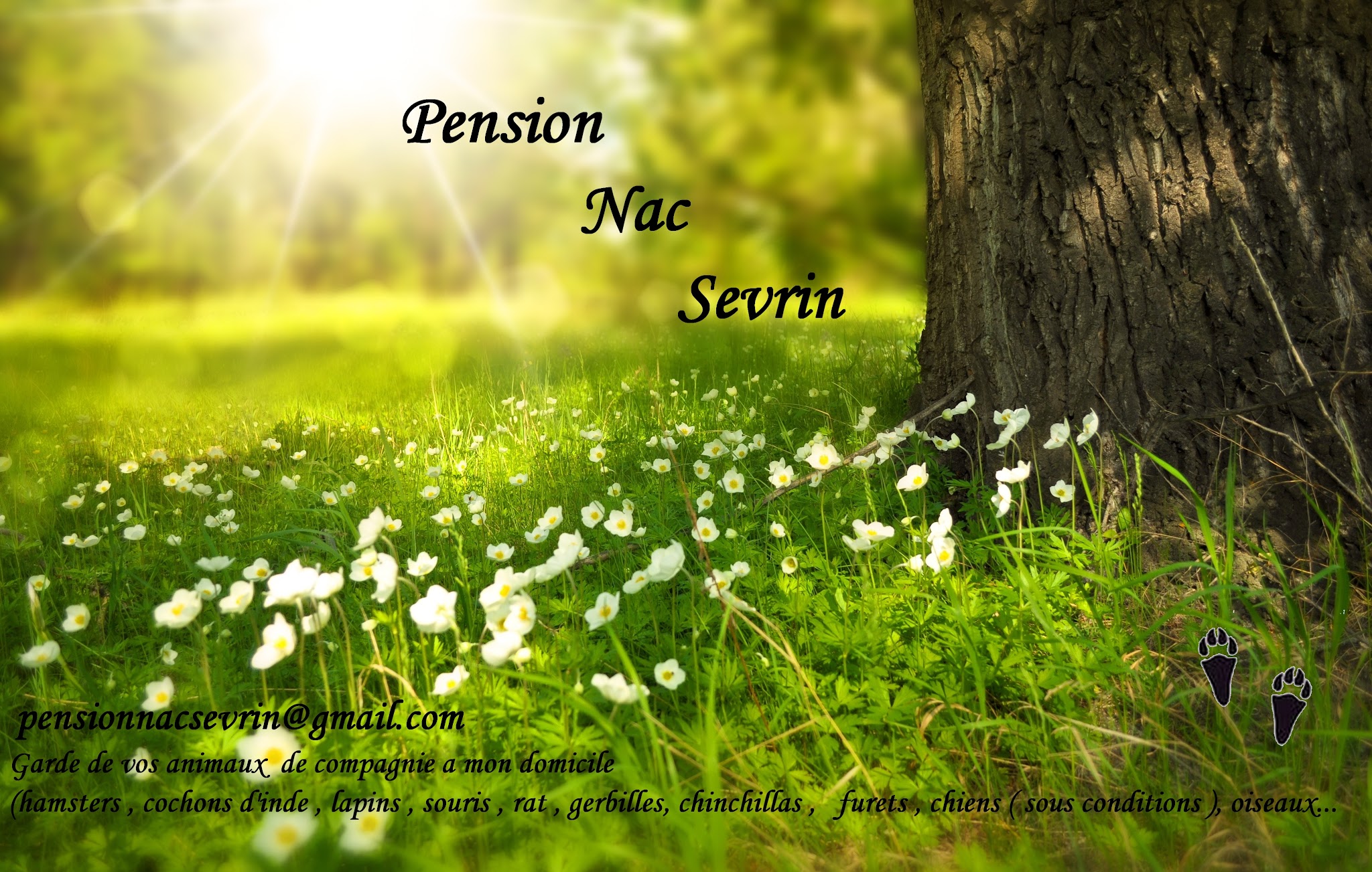 Pension nac sevrin