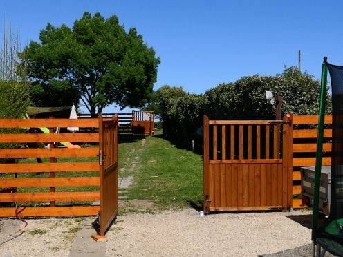 BULL'S II GUM: Pension familiale pour chiens — photo