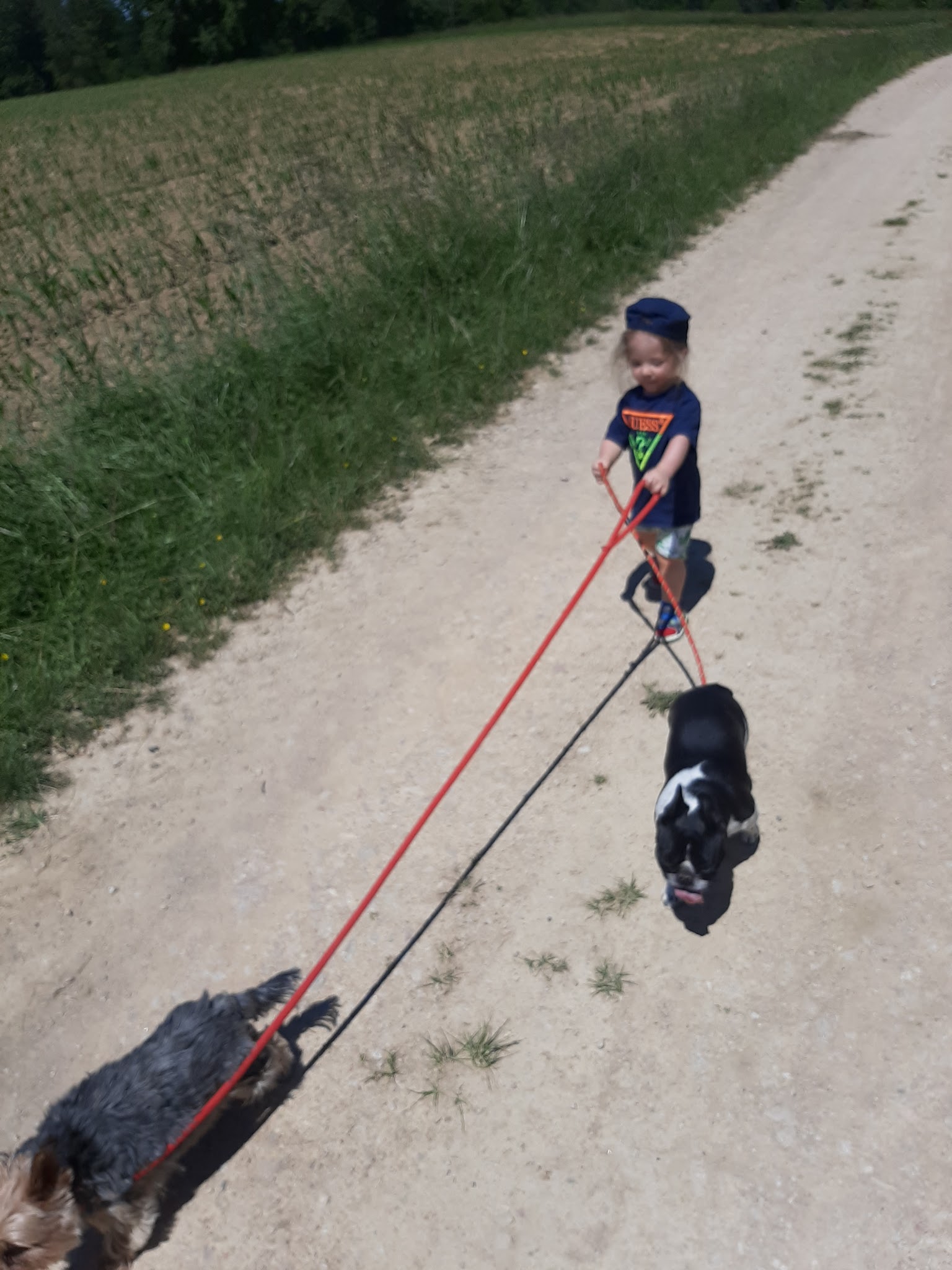 Au domaine des loulous Toilettage et pension canine — photo