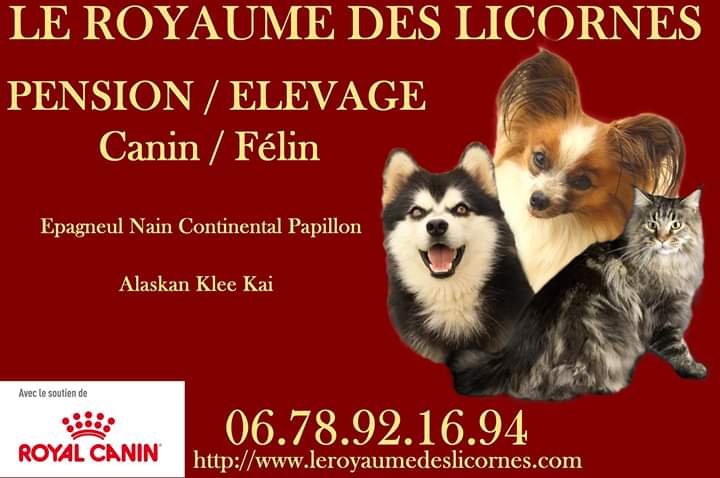 Le Royaume des Licornes élevage canin et pension — photo