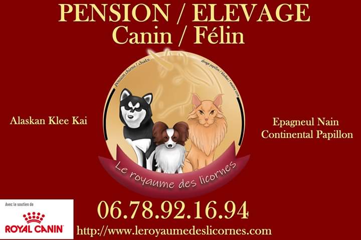 Le Royaume des Licornes élevage canin et pension — photo