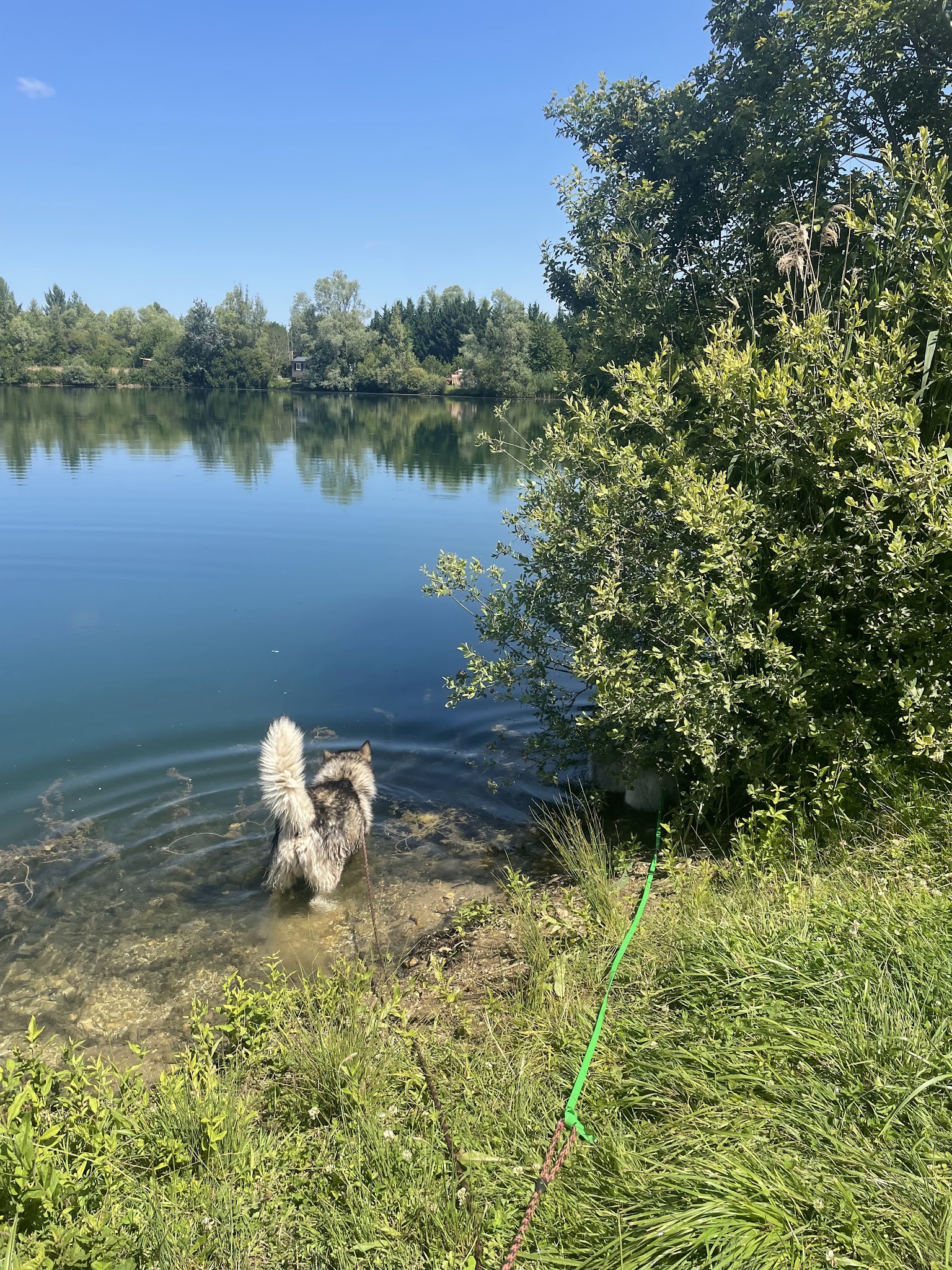 Gwenn&Cie- La Colo’ des Animaux- Pension Canine & Nac — photo
