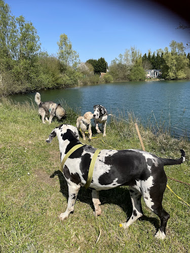 Gwenn&Cie- La Colo’ des Animaux- Pension Canine & Nac