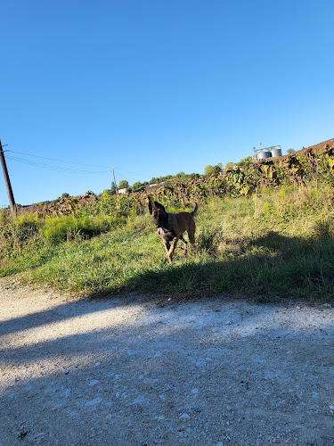 Sly et Co garde d'animaux