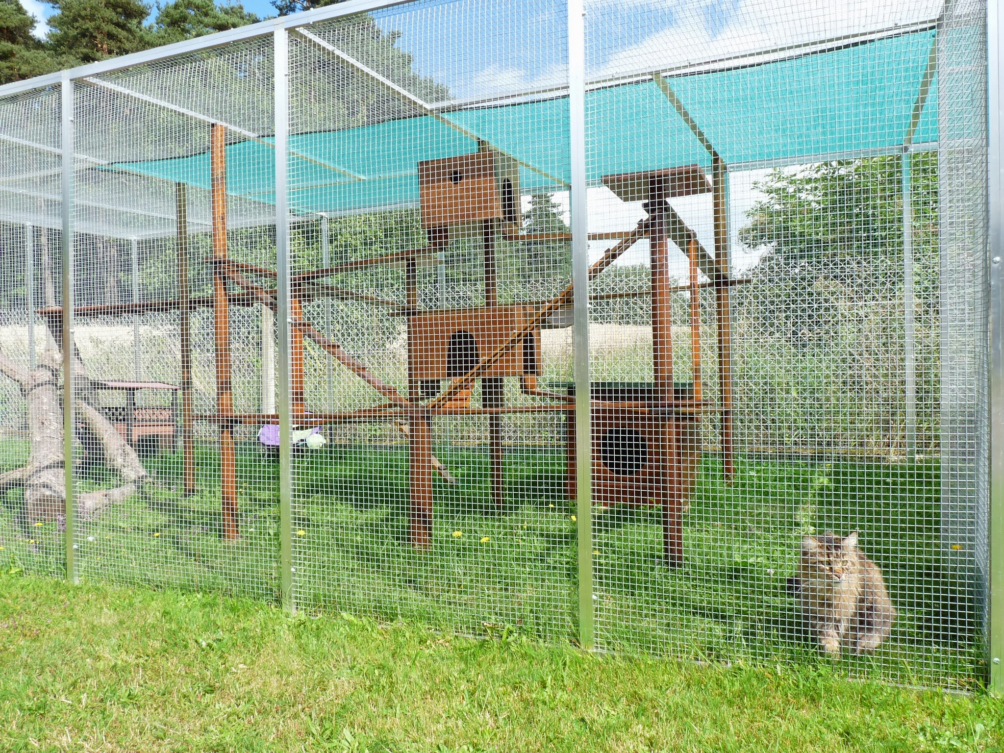 Hostellerie Canine de La Boulaie — photo