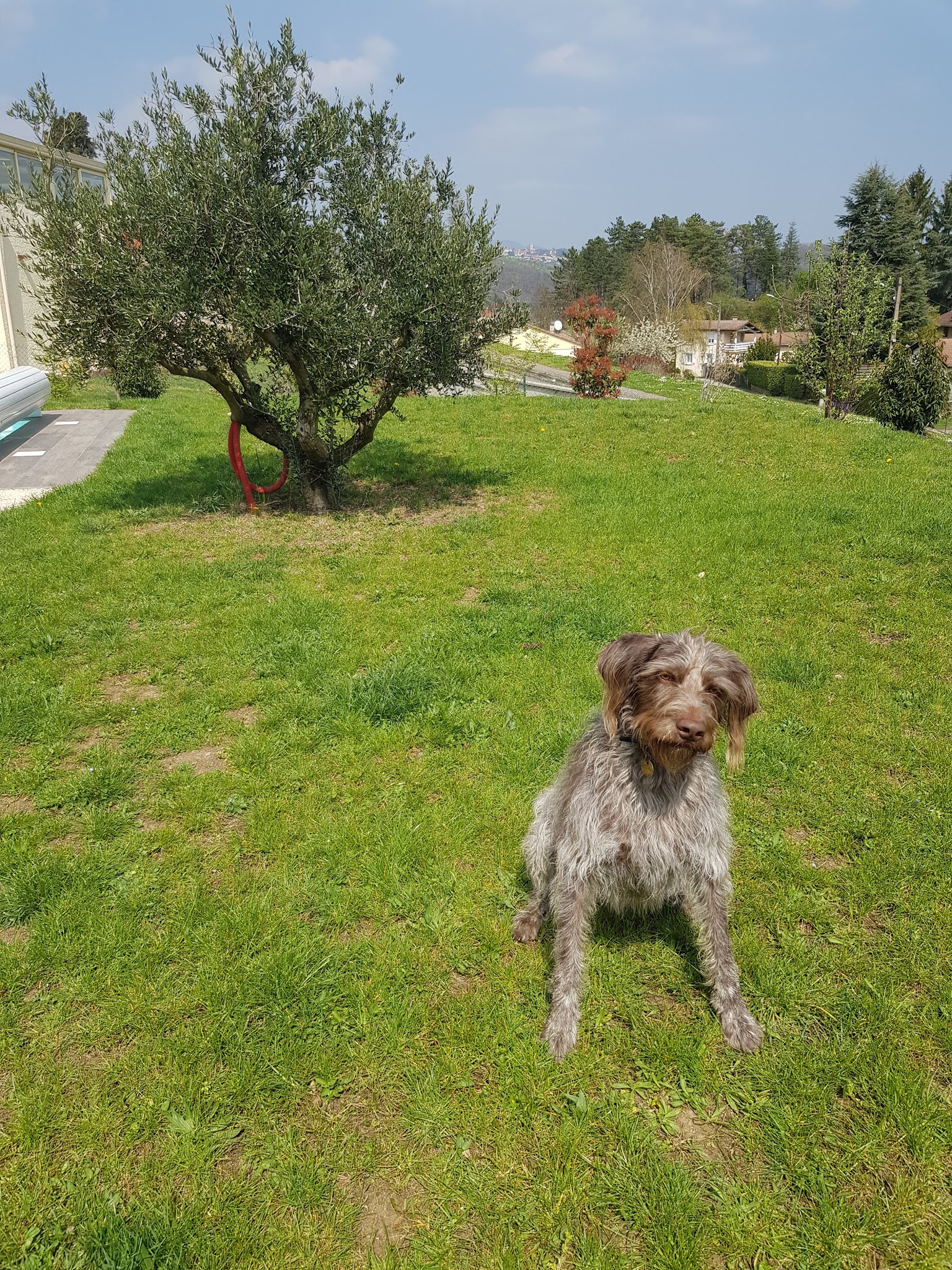 Hostellerie Canine de La Boulaie — photo