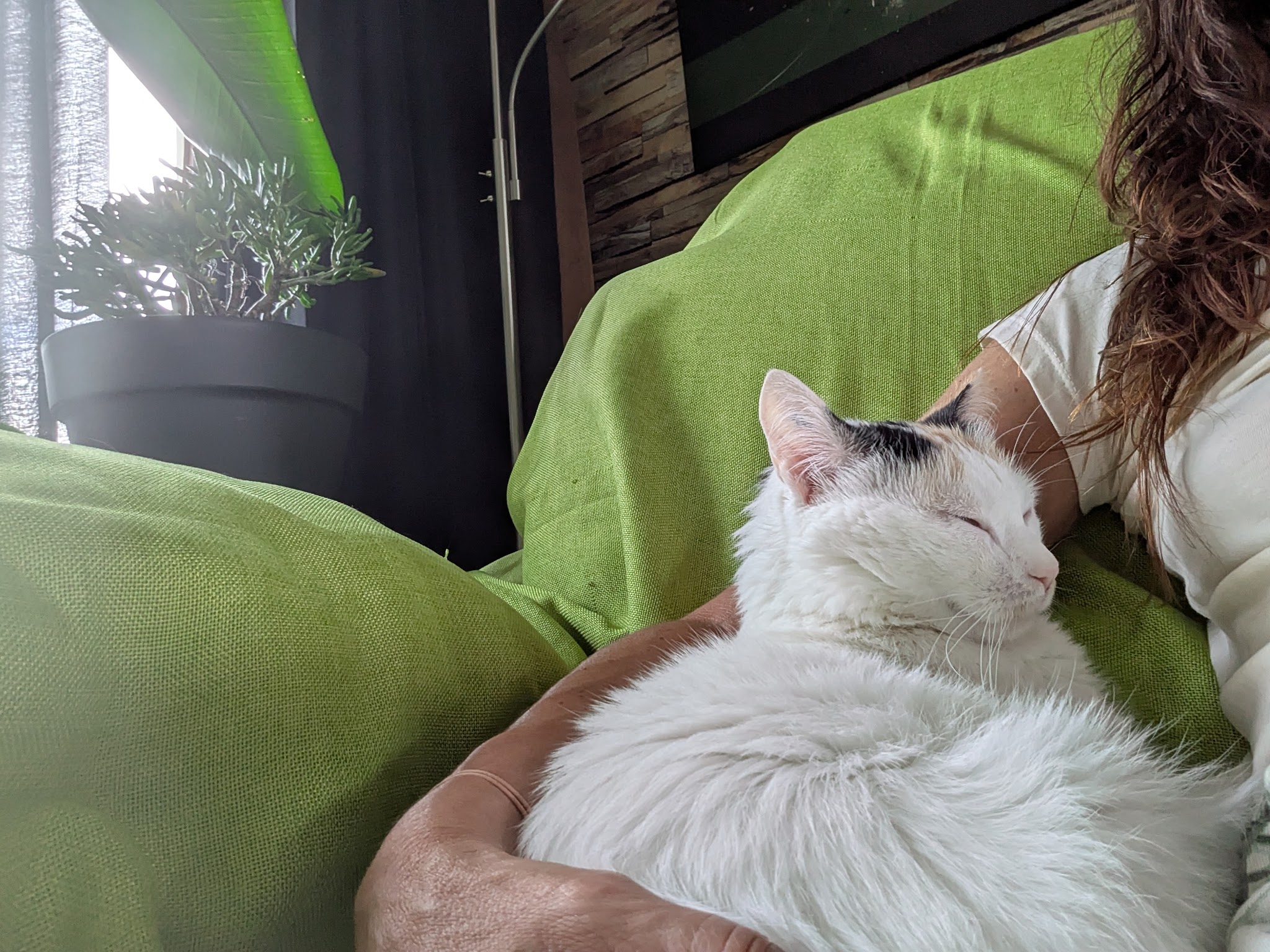 Garde d'animaux Melanie - Pet Sitter à St Egrève — photo