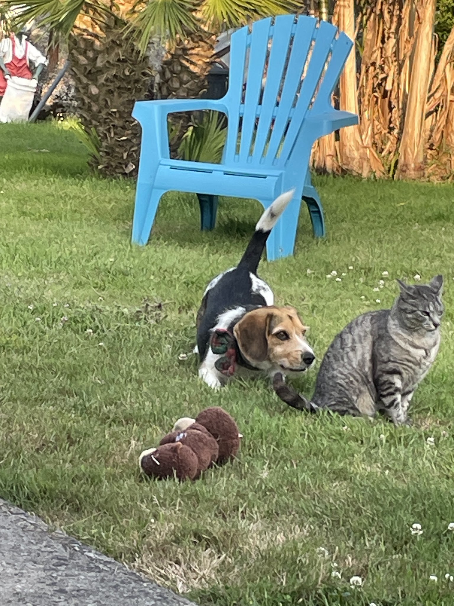 Garde-Retz vos animaux — photo