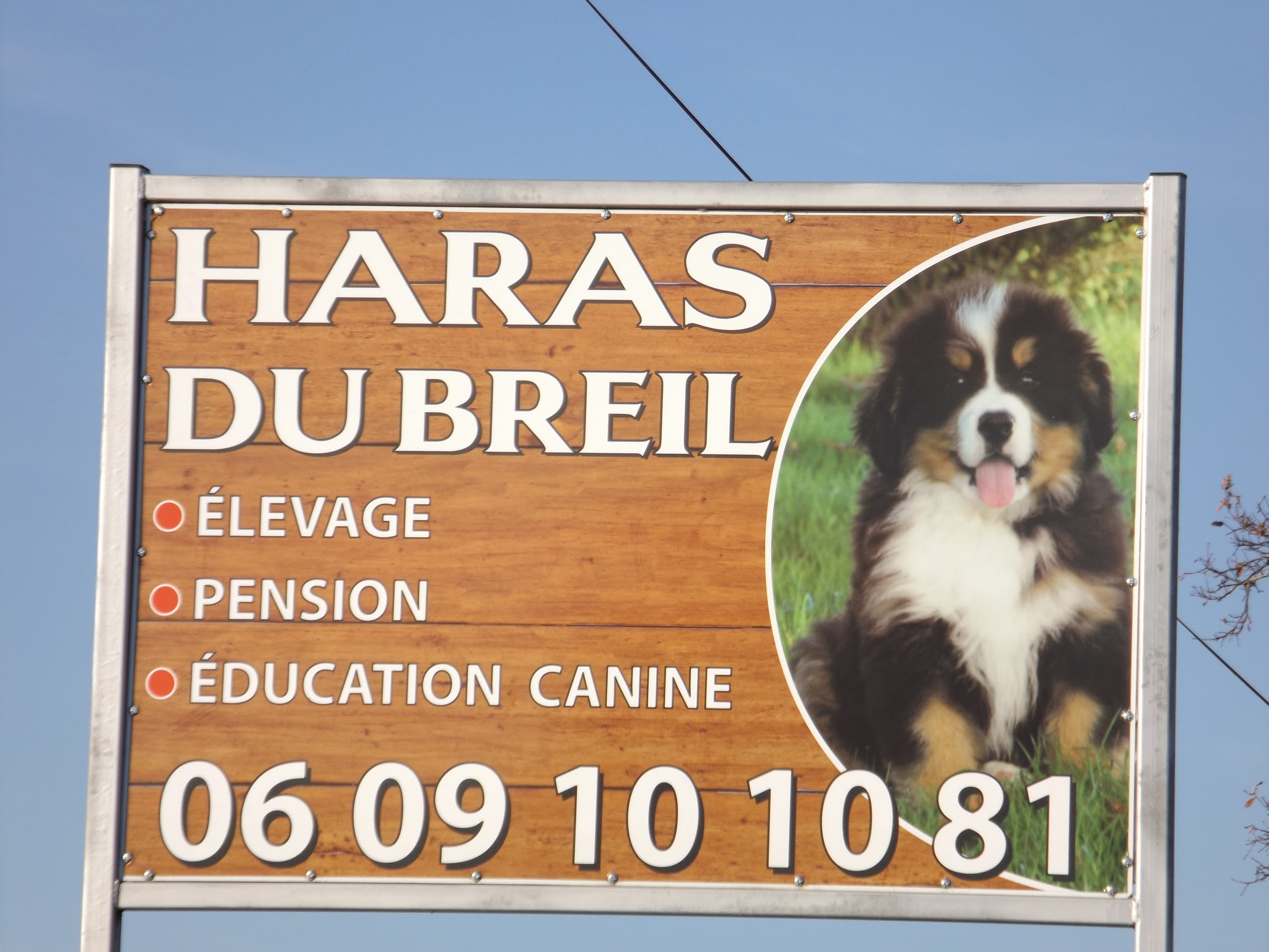 pension canine et féline et éducation du haras du breil — photo