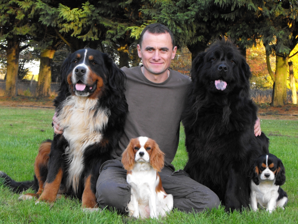 pension canine et féline et éducation du haras du breil — photo