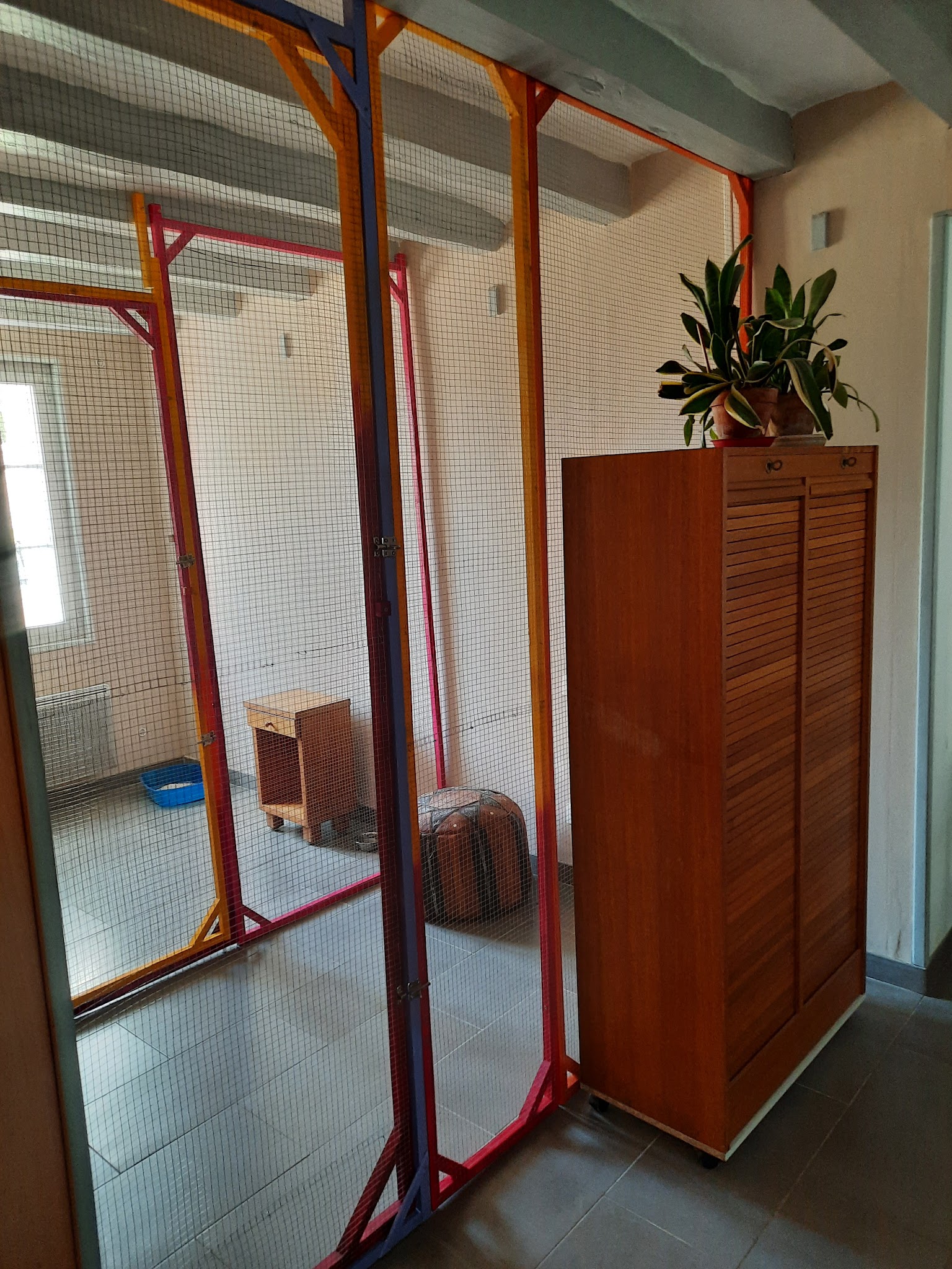 Dogs and Cats Lodges - Pension canine et féline / Comportementaliste animalier — photo