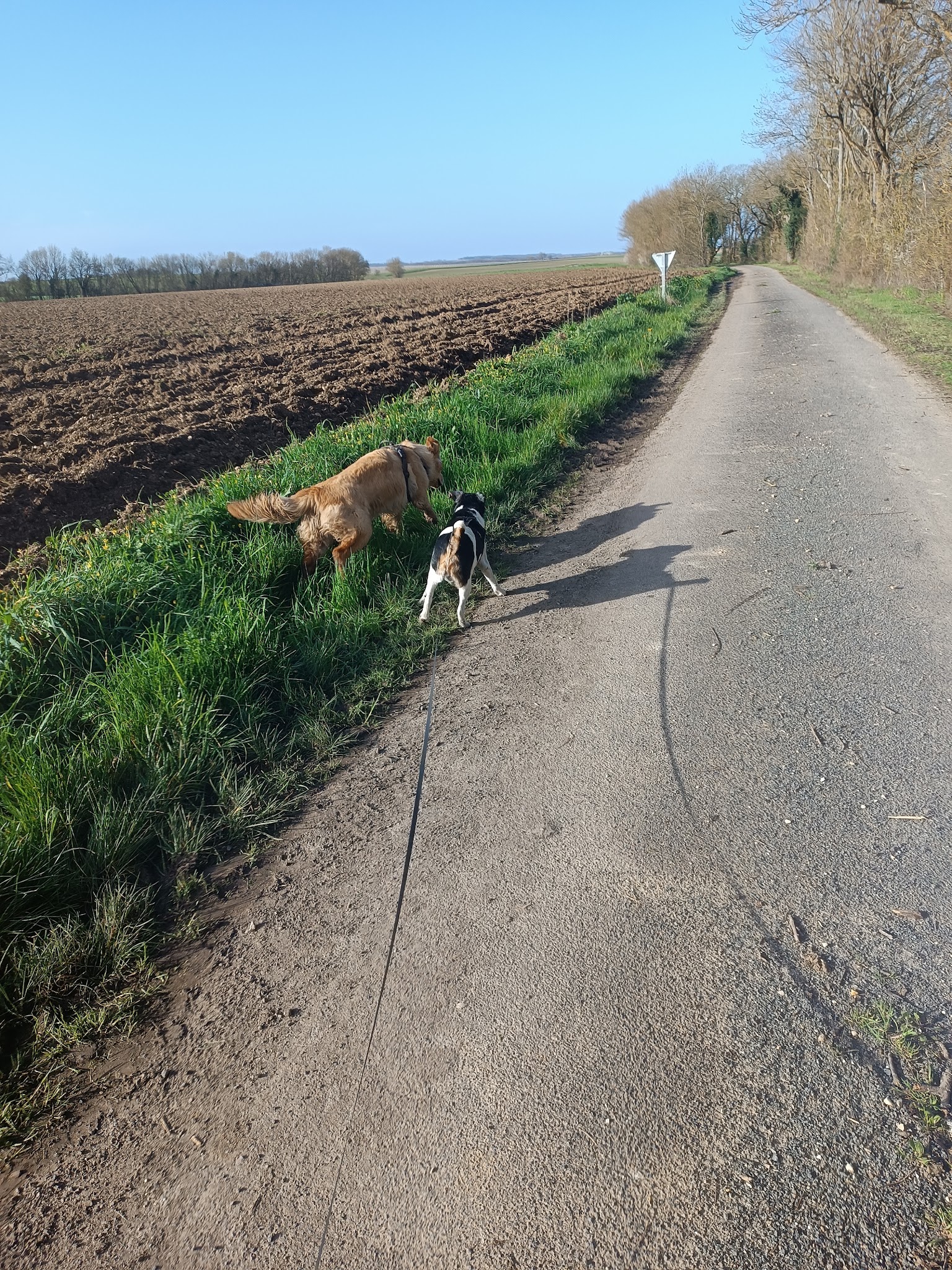 Le Bosquet de Betty — photo