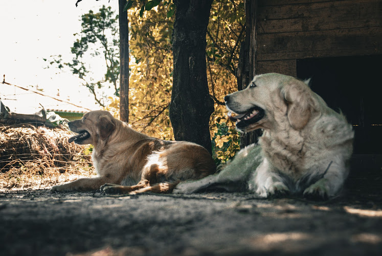 Le Bosquet de Betty