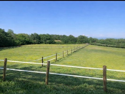 PENSION CHIENS/CHEVAUX DE LA MATTE — photo