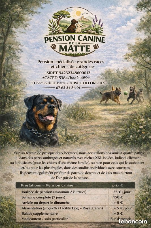 PENSION CHIENS/CHEVAUX DE LA MATTE — photo